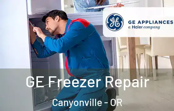  GE Freezer Repair Canyonville - OR