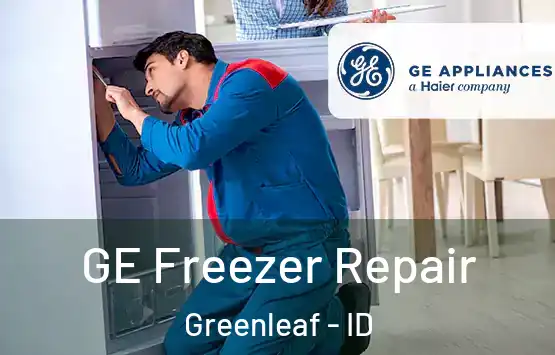  GE Freezer Repair Greenleaf - ID
