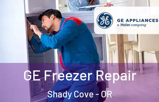  GE Freezer Repair Shady Cove - OR