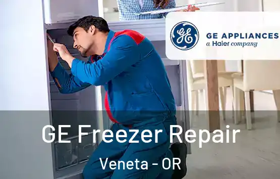  GE Freezer Repair Veneta - OR