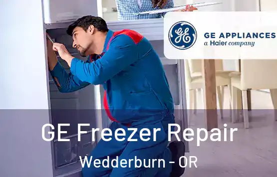  GE Freezer Repair Wedderburn - OR
