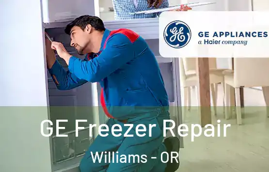  GE Freezer Repair Williams - OR