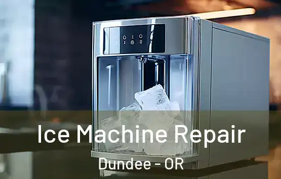  Ice Machine Repair Dundee - OR