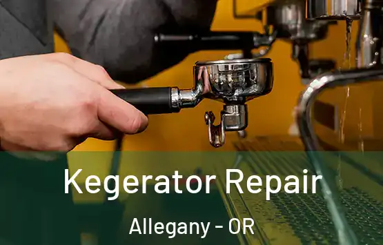  Kegerator Repair Allegany - OR