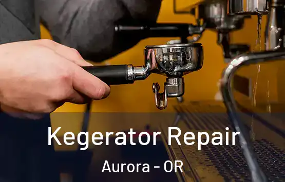  Kegerator Repair Aurora - OR