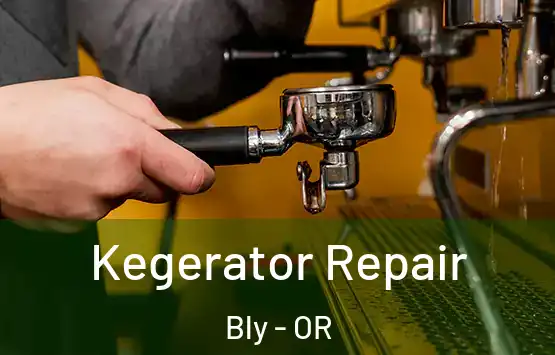  Kegerator Repair Bly - OR