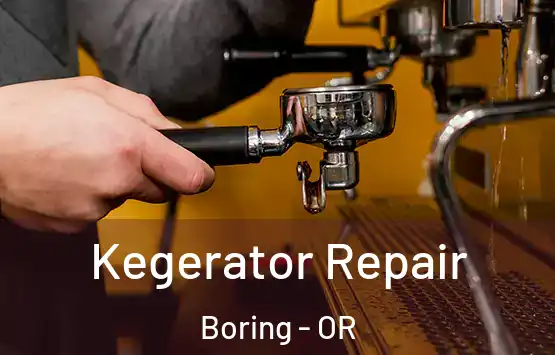  Kegerator Repair Boring - OR