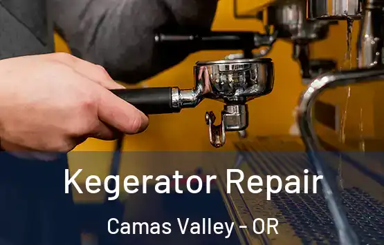  Kegerator Repair Camas Valley - OR