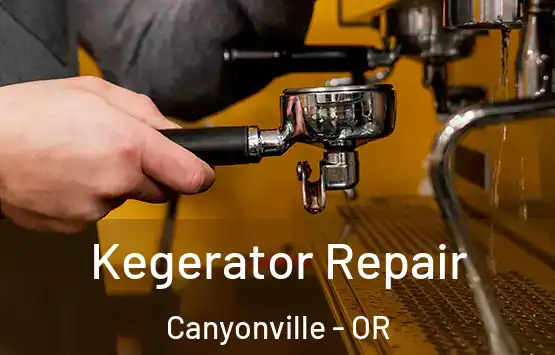  Kegerator Repair Canyonville - OR
