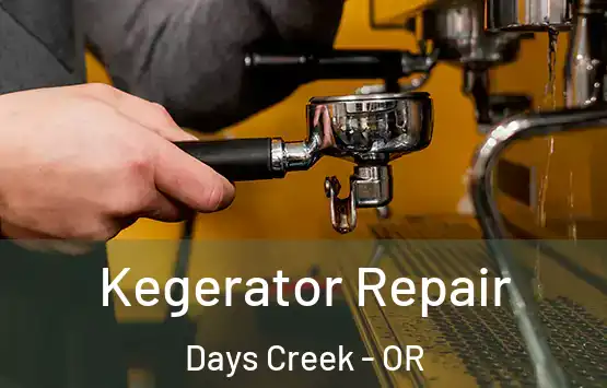  Kegerator Repair Days Creek - OR