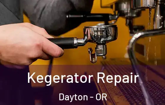  Kegerator Repair Dayton - OR