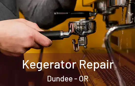  Kegerator Repair Dundee - OR
