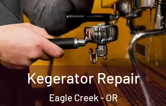  Kegerator Repair Eagle Creek - OR