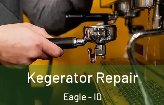  Kegerator Repair Eagle - ID