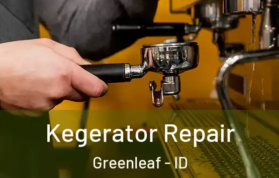  Kegerator Repair Greenleaf - ID