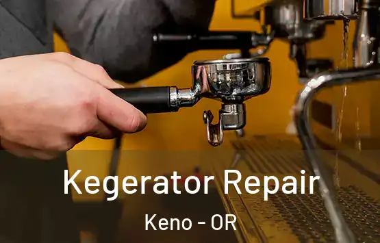  Kegerator Repair Keno - OR