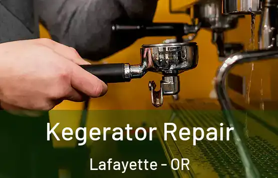  Kegerator Repair Lafayette - OR