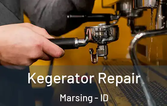  Kegerator Repair Marsing - ID