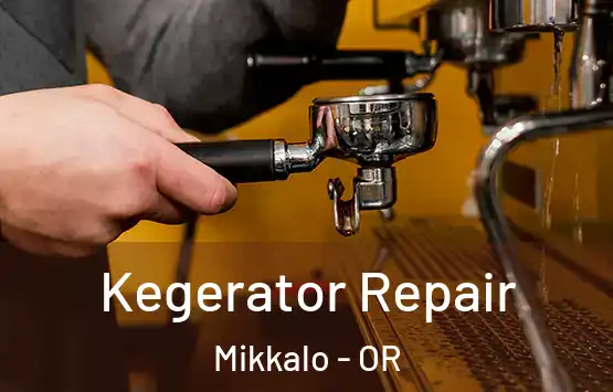  Kegerator Repair Mikkalo - OR
