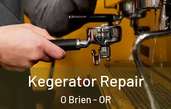  Kegerator Repair O Brien - OR