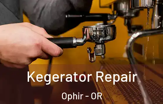  Kegerator Repair Ophir - OR