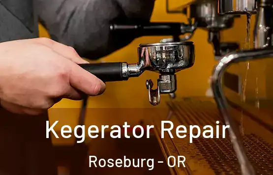  Kegerator Repair Roseburg - OR