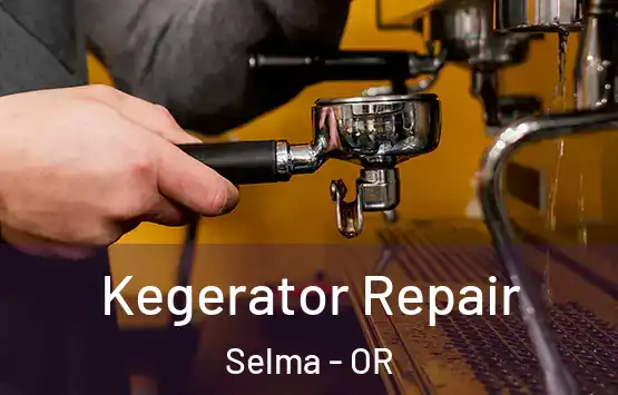  Kegerator Repair Selma - OR
