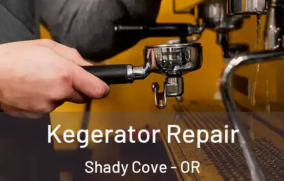  Kegerator Repair Shady Cove - OR