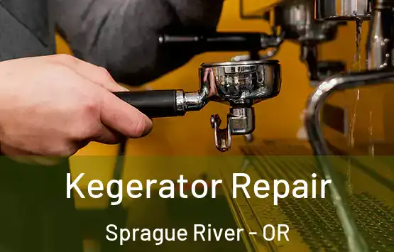  Kegerator Repair Sprague River - OR
