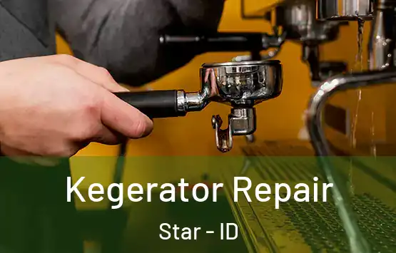  Kegerator Repair Star - ID