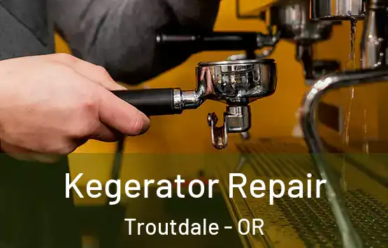  Kegerator Repair Troutdale - OR