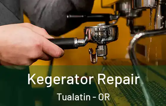  Kegerator Repair Tualatin - OR