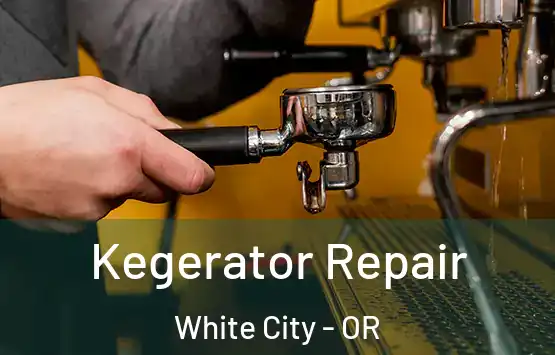  Kegerator Repair White City - OR