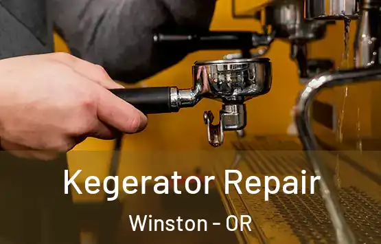  Kegerator Repair Winston - OR