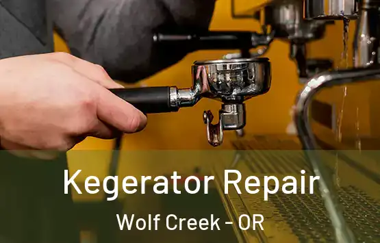  Kegerator Repair Wolf Creek - OR