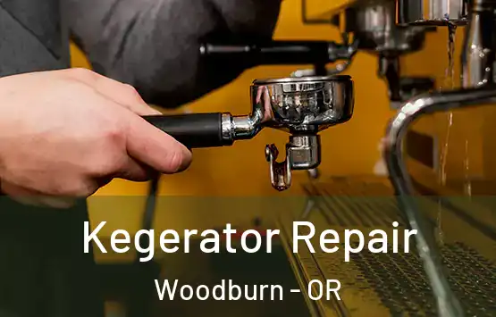  Kegerator Repair Woodburn - OR