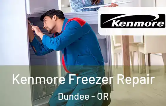 Kenmore Freezer Repair Dundee - OR