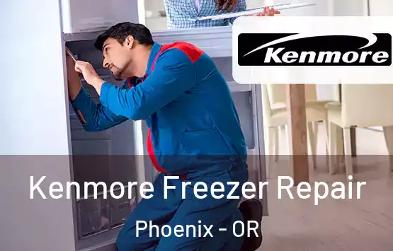  Kenmore Freezer Repair Phoenix - OR