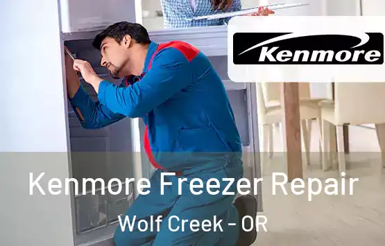  Kenmore Freezer Repair Wolf Creek - OR