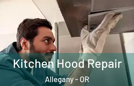  Kitchen Hood Repair Allegany - OR