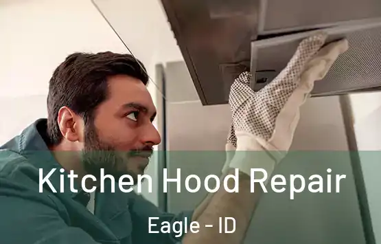  Kitchen Hood Repair Eagle - ID