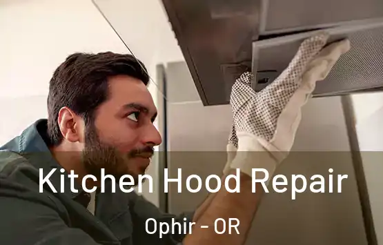  Kitchen Hood Repair Ophir - OR