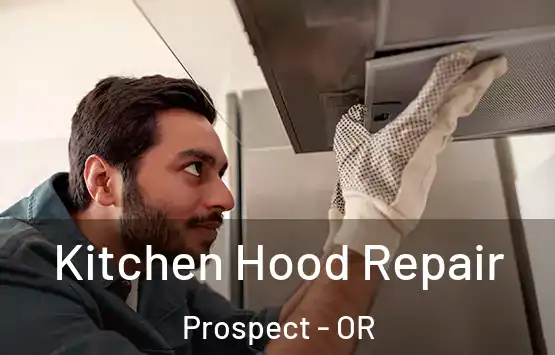  Kitchen Hood Repair Prospect - OR