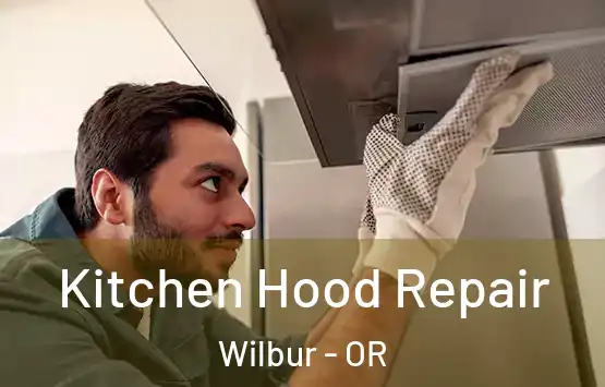  Kitchen Hood Repair Wilbur - OR