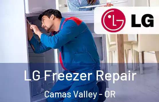  LG Freezer Repair Camas Valley - OR