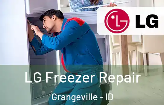  LG Freezer Repair Grangeville - ID