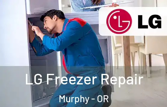  LG Freezer Repair Murphy - OR