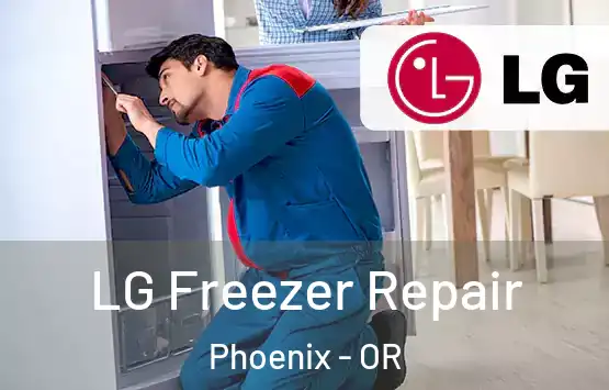  LG Freezer Repair Phoenix - OR