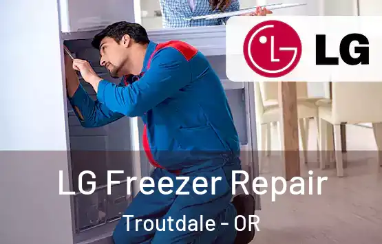  LG Freezer Repair Troutdale - OR