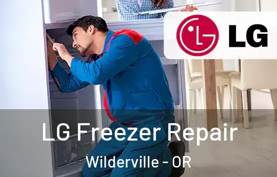  LG Freezer Repair Wilderville - OR
